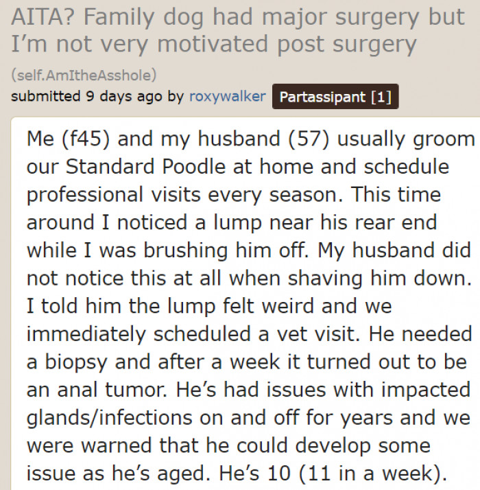 The original poster discovered a lump on the family dog.