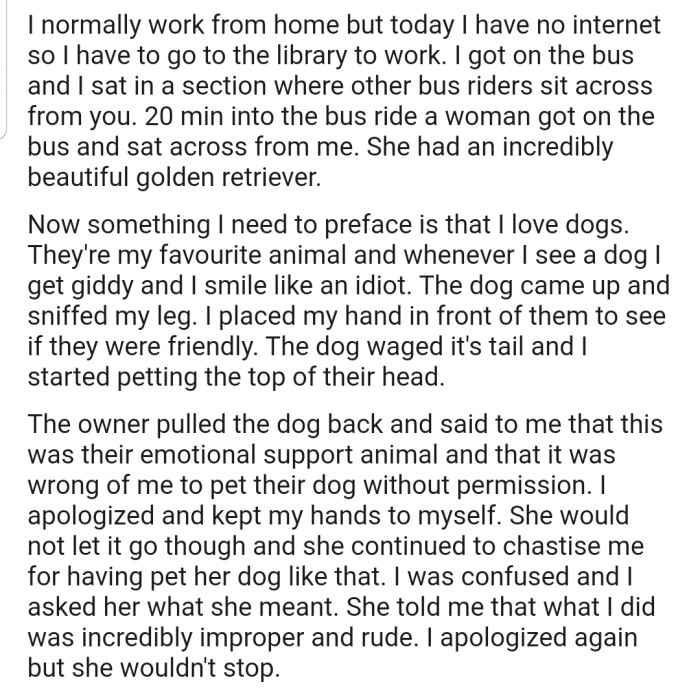 OP decided to pet a stranger's emotional support dog in a bus after the furrball came to them, and now the owner is having a meltdown