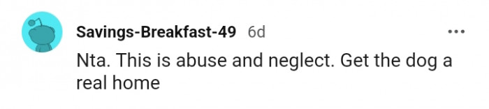 The OP should get the dog a real home