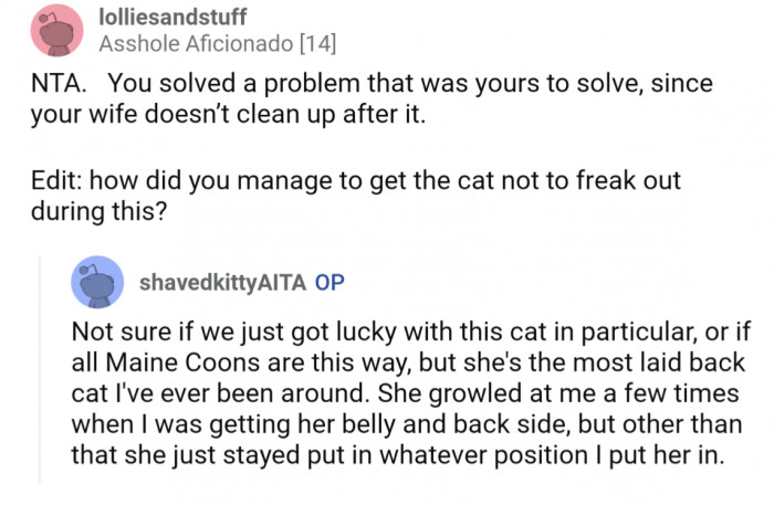 Since OP was the only one cleaning up the hairballs, he solved his problem