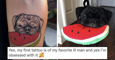 10 Dog Posts That Will Brighten Up Your Mood In A Split Second