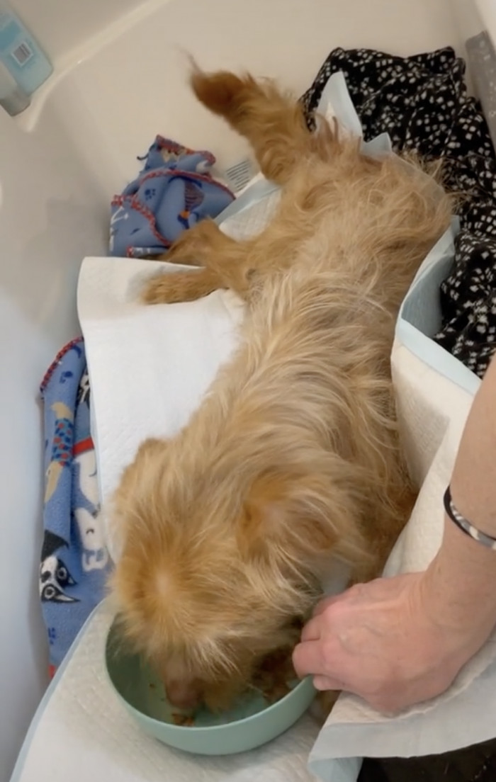 He looks pretty relaxed in there