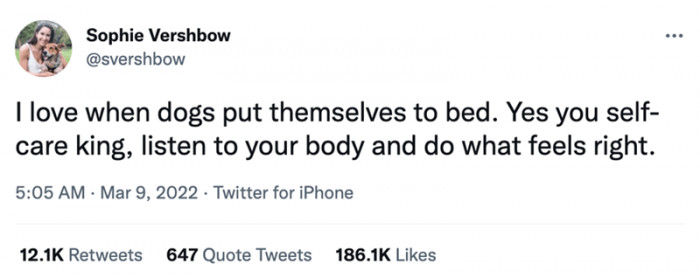 1. You good doggos know how to listen to your bodies and act accordingly