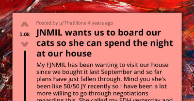 Lady Shares How Her Future MIL Demanded She Board Their Cats So She Can Spend A Night At Their House