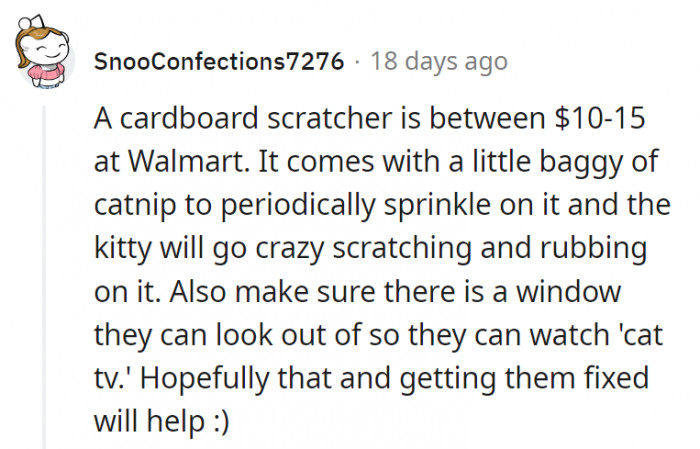 9. Hopefully, the cat's owner would be willing to shell out a few dollars for this