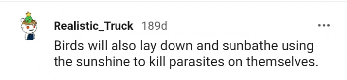Birds also use sunshine to kill parasites on themselves