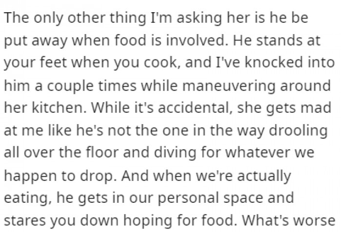 The last thing on OP's list is to keep the dog away from food and the kitchen