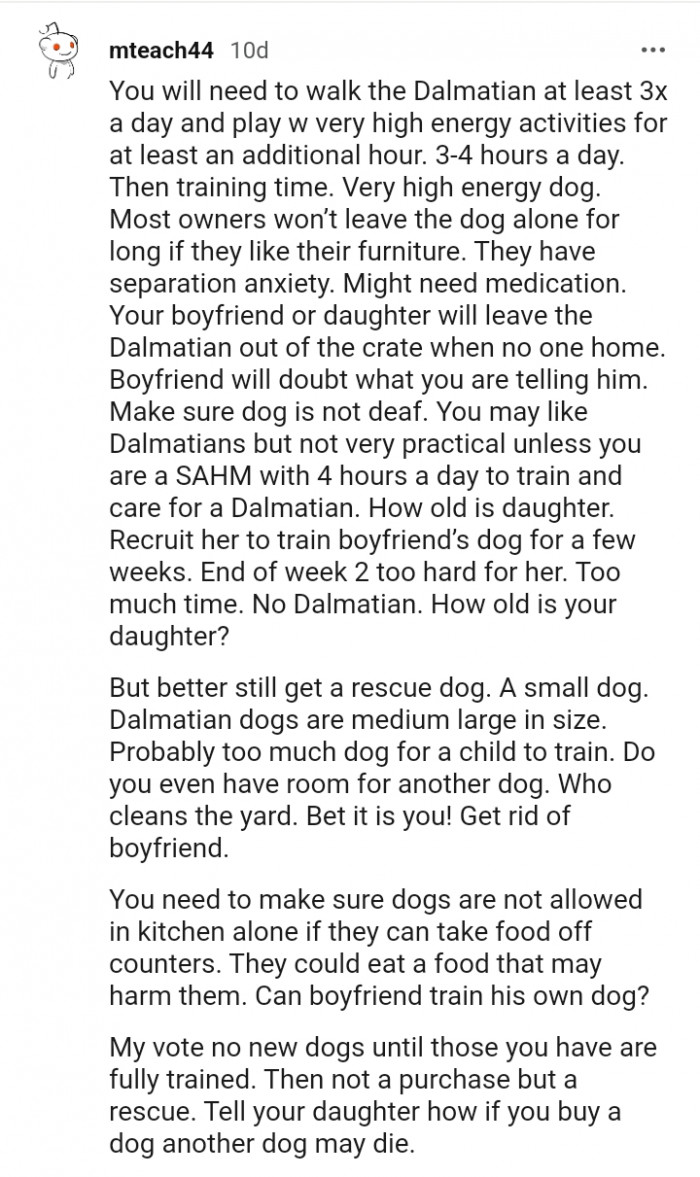 Recruit her to train your boyfriend's dog for a few weeks.