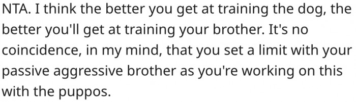 2. Learning how to train her dog will help her train her brother too.