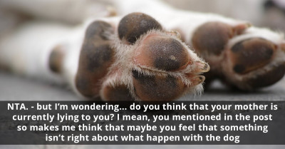 Redditor Asks Their Mom About Their Deceased Dog's Ashes and Their Whereabouts, but Mother Reacts Negatively to Them Asking