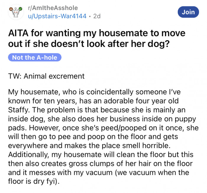 The Redditor says that the dog will use puppy pads to go to the bathroom, but once she has done her business on the puppy pad, she will then go and do it everywhere else.