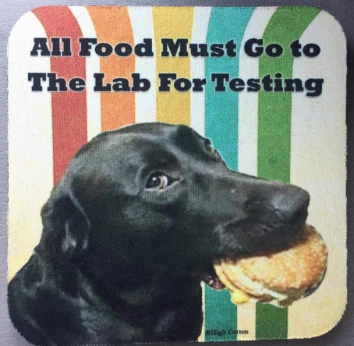 13. Oh, how Labs love testing food...