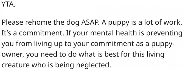 20. Owning a puppy is a huge responsibility that she can't handle yet.