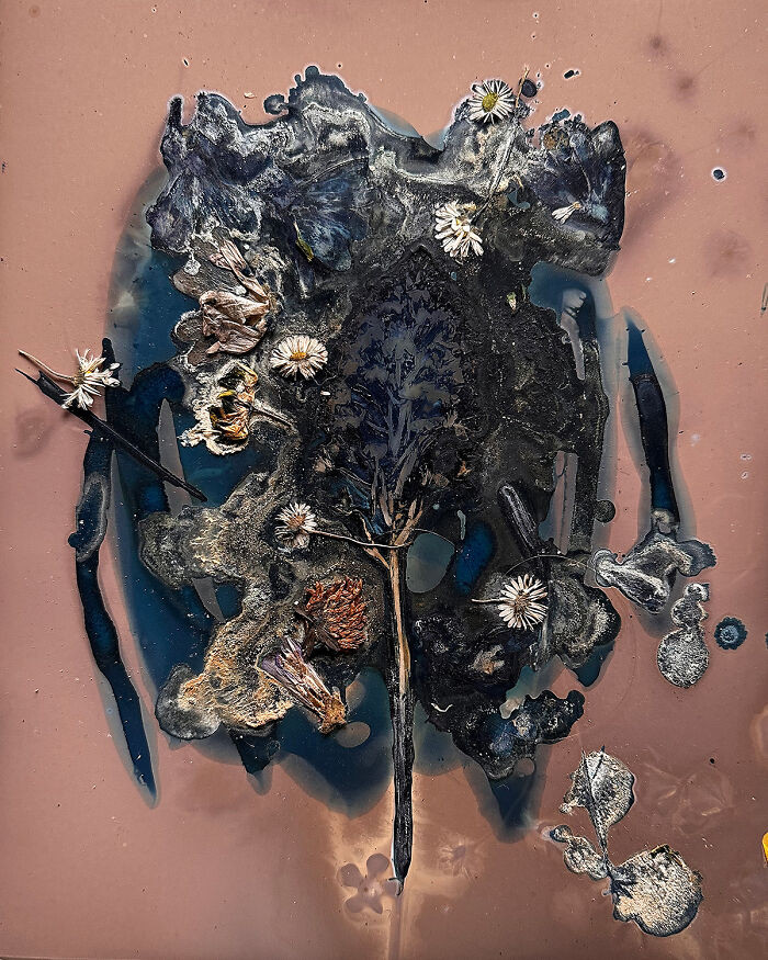 The Most Beautiful Anthropocene #55 From The Series 'The Most Beautiful Anthropocene' By Aindreas Scholz