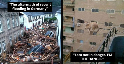 People Who Managed To Photograph Things And Situations From Their Worst Nightmares