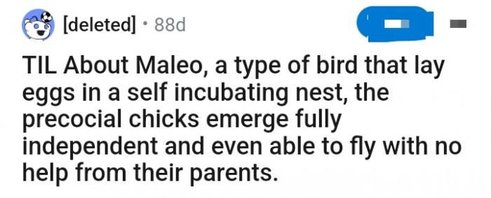 This Redditor has an interesting piece of information to share with the TodayILearned subreddit group