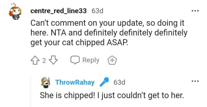 The OP revealed that she did have her cat chipped