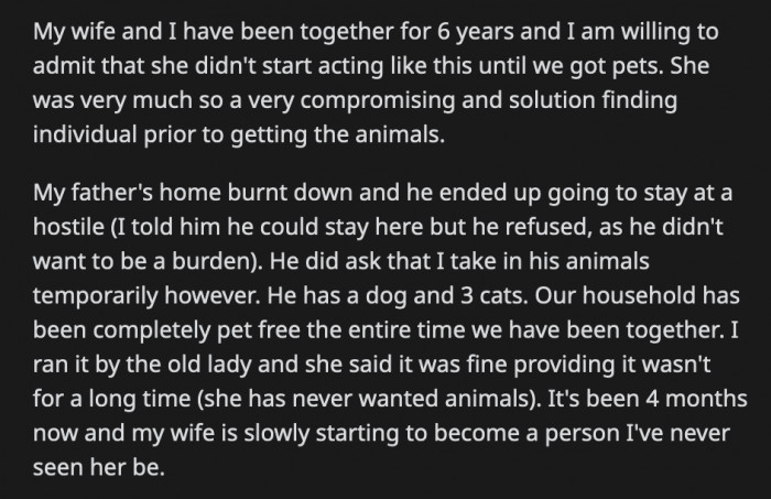 The cats will immediately knock anything she holds onto to ask her to play with them. It doesn't matter if it's her phone or a book; they will jump up and swipe it out of her hands.