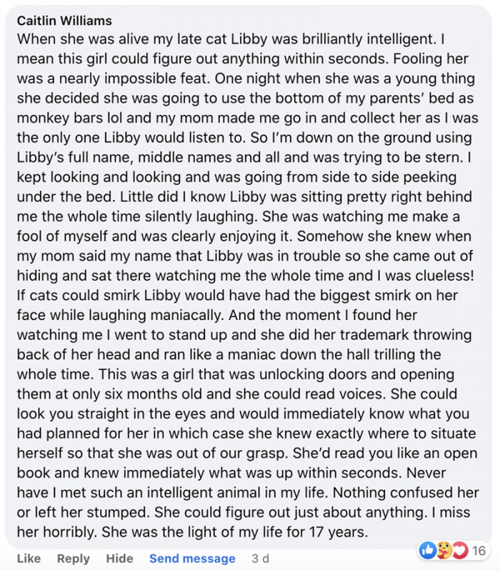 2. Just for laughs and nothing more