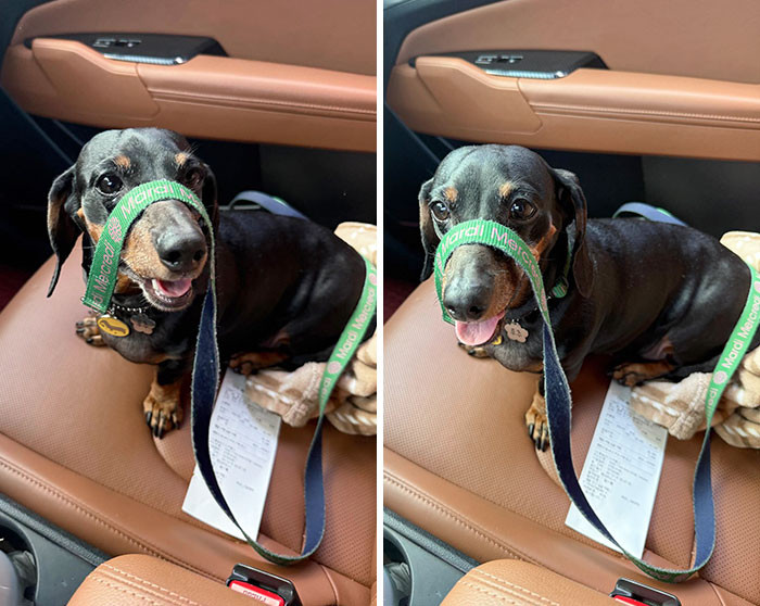 "Driving After A Long Time"