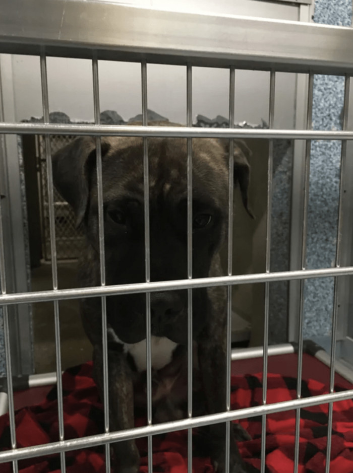 12. "Walter adjusted pretty well"