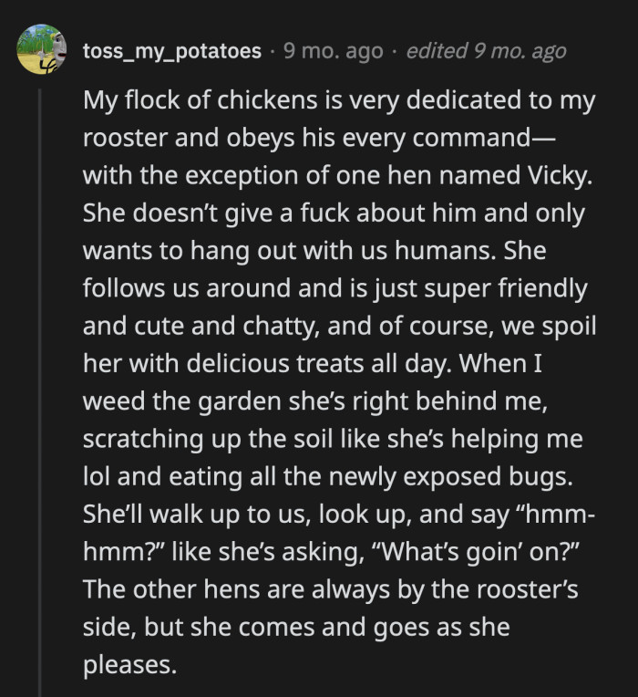 1. Vicky is the GOAT!