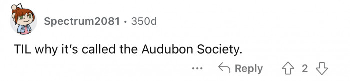 Protecting birds and the places they need, unless they are going to be included in that book.