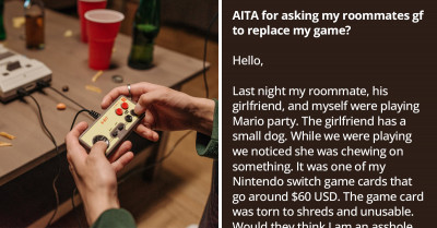 Redditor Requests For A Replacement After A Visiting Dog Chewed His Game Switch Card