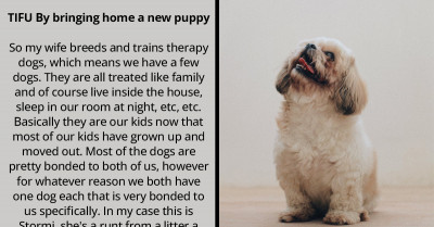 Man Shares Hilarious TIFU Story About His Dog’s Jealousy Over The New Female Dogs He Brought Home