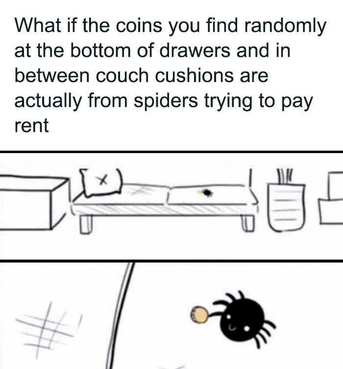 10, Spiders paying rent