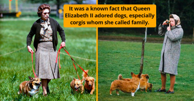 This Is What's Going To Happen To Queen Elizabeth's Dogs
