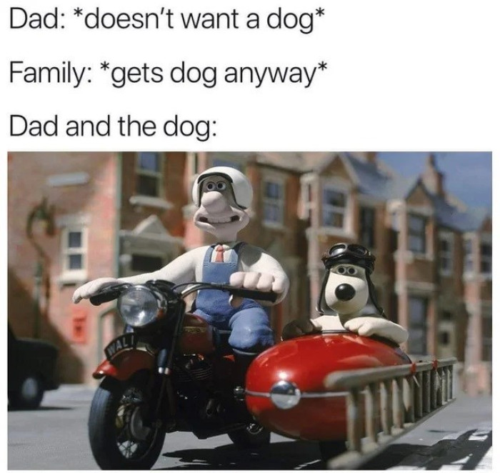 32. Dad and the dog