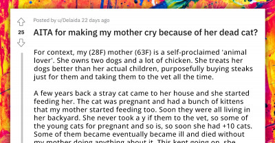 Redditor Tells Mom the Harsh Truth About How Lack of Care Killed Her Cats, Gets Criticized by Rest of Family