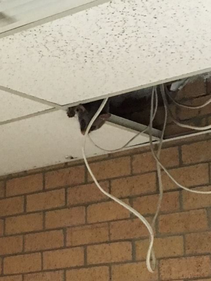 University of Newcastle Engineering posted this photo with a caption: