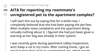 Redditor Accidentally Reports Roommate's Unregistered Pet Resulting In A $250+ Fine