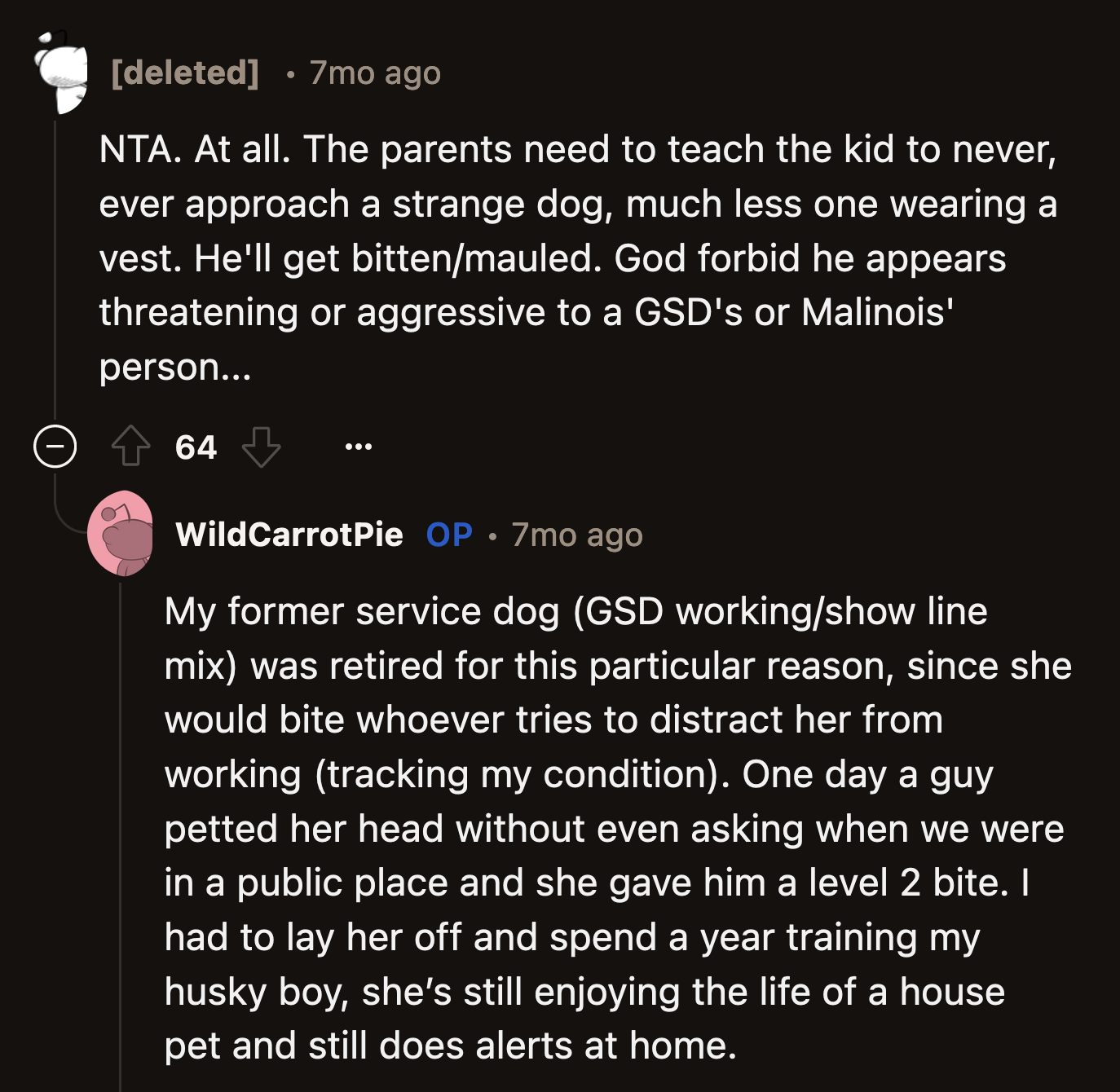 Apart from it being rude, OP explained that she had to lay off her previous service animal because it bit a stranger who distracted her from work.