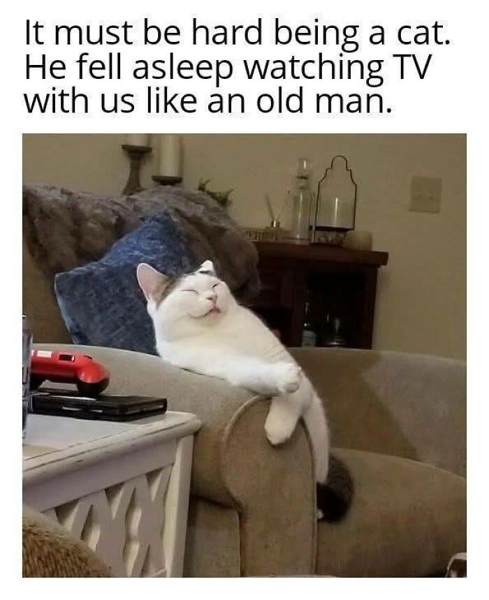 46. Oh, I'm tired