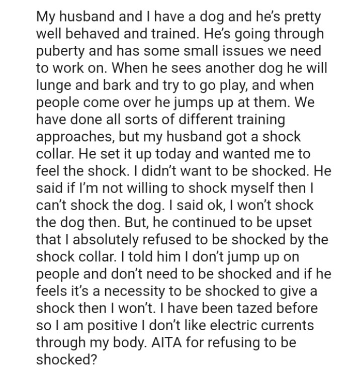 The OP's Husband Said If She's Not Willing to Shock Herself, Then She Can’t Shock the Dog