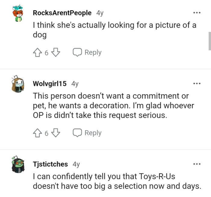 This Person Does Not Want a Commitment or Pet