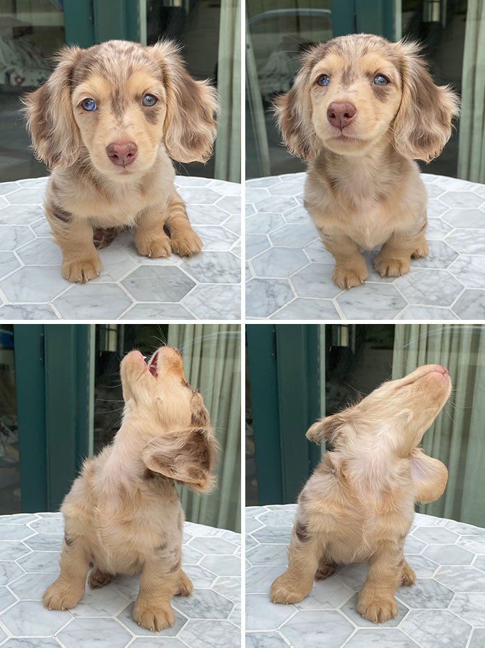 "Back When I Tried To Catch A Fly"