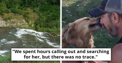 Couple Loses Their Dog In A Freak Accident, Only For Him To Miraculously Reappear 2 Weeks Later