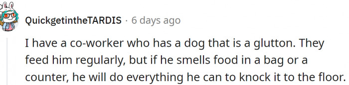 Some dogs are just like that