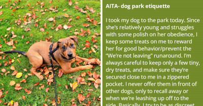 Person Gets Yelled At By An Angry Karen At The Dog Park For Having Dog Treats In Their Pocket
