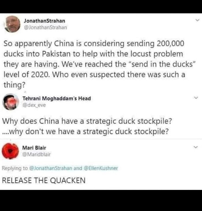 2. Release the quacken!