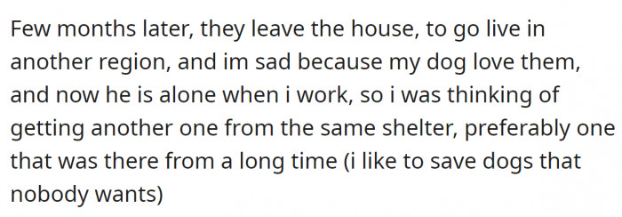 Everything was fine at first, but circumstances changed, and his dog began to feel lonely while he was at work. So he thought about adopting another one.