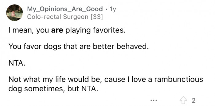 Person suggesting compromise, training a dog named Sparky at Christmas