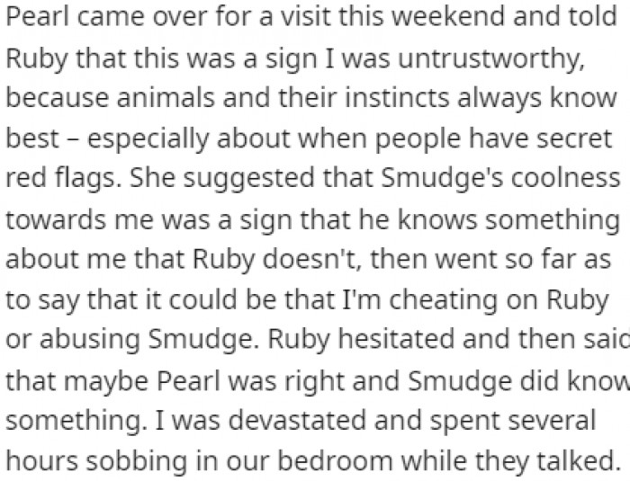 After Ruby's sister visited and told her to consider that animal instincts are usually quite accurate, it all went downhill for OP.