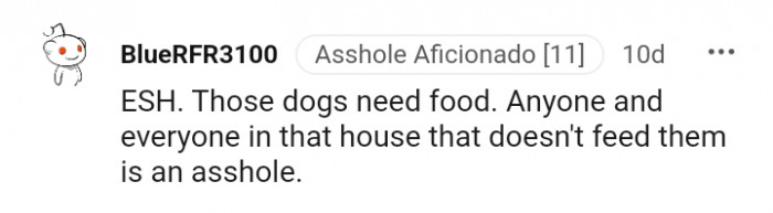 Those dogs clearly need food