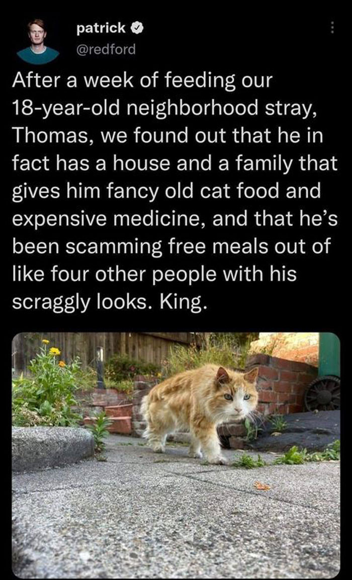 13. Thomas has been scamming free food out of people