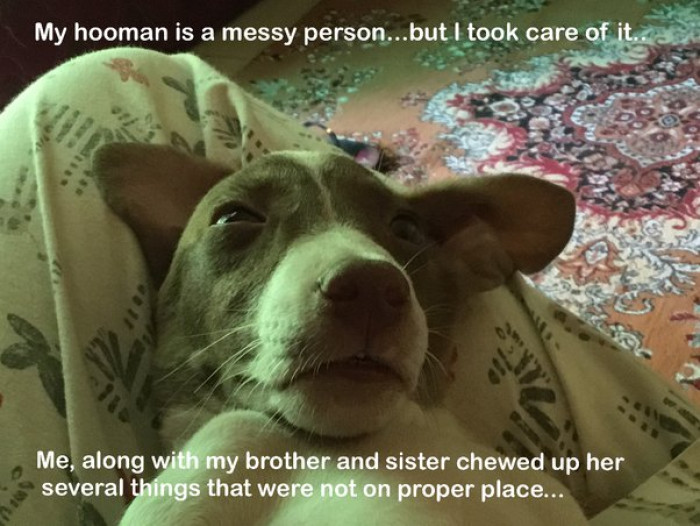 13. "They teach you to be responsible for your own things…"